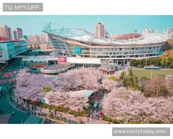 全球足球场球星打卡地推荐打卡攻略必去圣地介绍